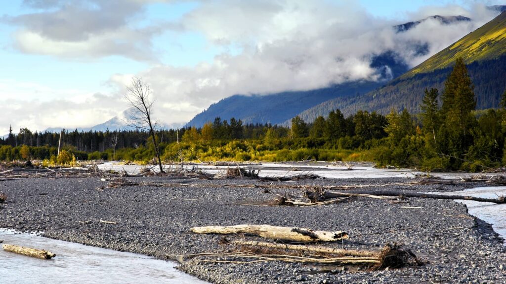 Exit Glacier Road (Seward)